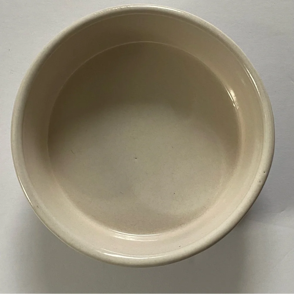 unbranded ceramic pet